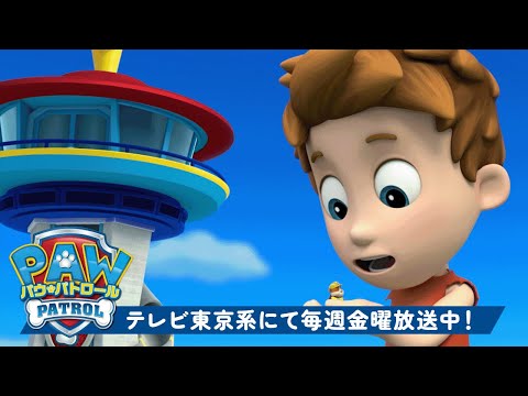 パウ・パトロール | アレックスの笑っちゃうような失敗！ | テレビ東京系にて放送中