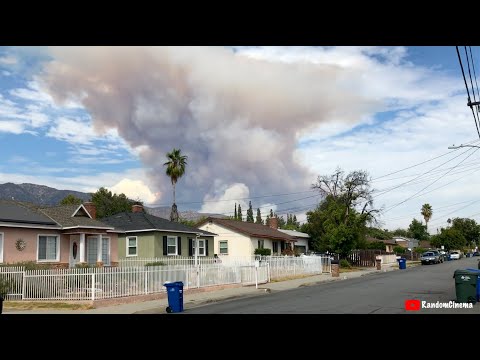 MASSIVE Wild Brush Fire Caught On Camera! Los Angeles Burning