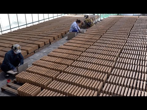 Mass Production Process of Making Eco-Friendly Building Material Red Clay Bricks.