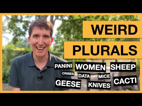 Weird plurals in English: Men, geese, sheep, knives and many more