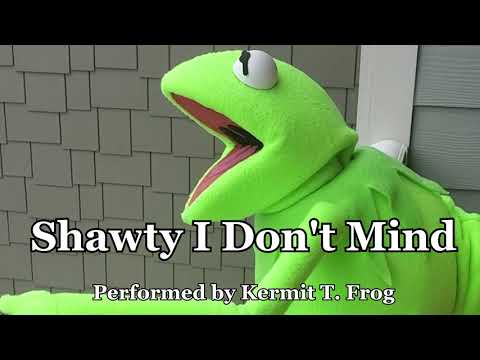 Kermit Sings - Shawty I Don't Mind (Usher)