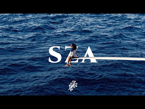 [playlist] 새벽 알앤비 감성 | SZA Playlist