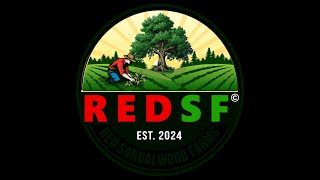 INTRODUCTION : RED SANDALWOOD FARMS (REDSF) - BLENDING VIRTUAL ADVENTURES WITH REAL-WORLD REWARDS.