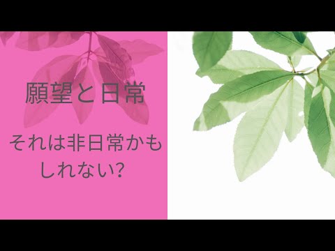 願望と日常の関係。非日常を土台にしようとしていると疲れます。