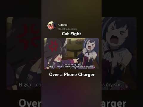 cat fight over a phone charger