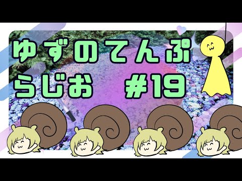 ゆずのてんぷらじお #19