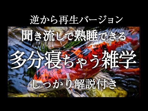 【逆から再生】多分寝ちゃう雑学【睡眠導入】しっかり解説付き♪