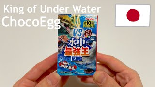 Japanese Candy ChocoEgg The strongest King of Underwater version