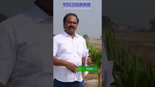 "hmda Approved Plots For Sale Near Vijayawada Highway | Invest In Hyderabad Real Estate"