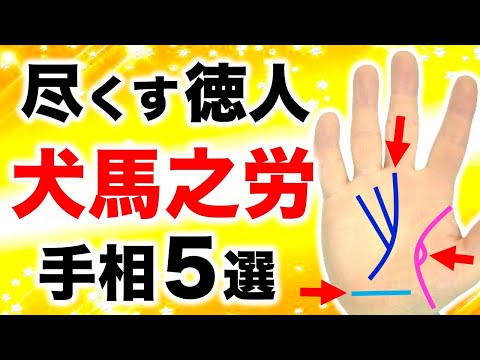 【手相】人の役に立ちたい！その心が報われる犬馬之労手相５選【覇王線・長放縦線】