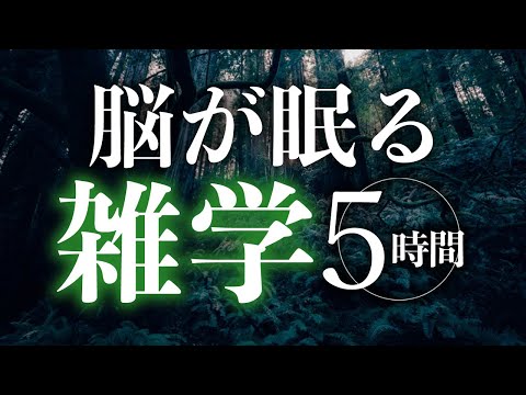 【睡眠導入】脳が眠る雑学5時間【合成音声】