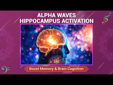 Alpha Waves Hippocampus Activation: Boost Neuroplasticity, Memory & Brain Cognition - Music Therapy