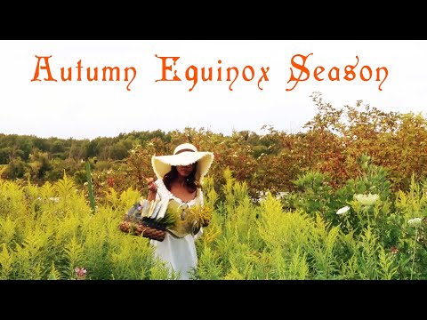 Seasonal Living Ideas For The Autumn Equinox Season 🍂 Astrology, Rituals, DIYS & More!