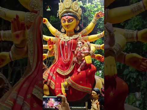 durga puja 2024|durga pratima towards pandal|durga puja|kolkata durga puja