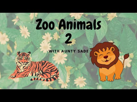 Animals at the Zoo || Let's Learn about Animals || Zoo Animals 2 || Wed 19/04/23.