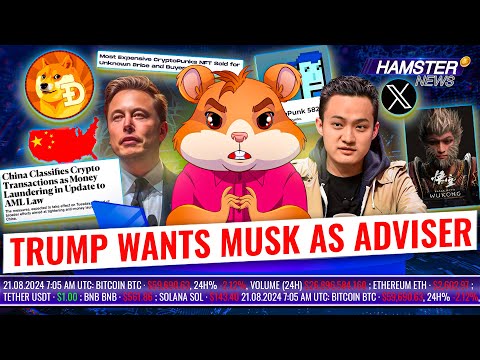 The most expensive CryptoPunk NFT sold, Elon Musk is mocking us, China’s new law ⚡️ Hamster News