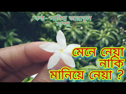 মানিয়ে নেয়া | Vocie Over by Jannatul Shompa | SOUL MATE