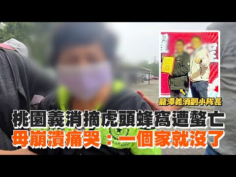 桃園義消摘虎頭蜂窩遭螫亡　母崩潰痛哭：一個家就沒了