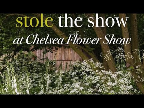 These Plants Stole The Show at the RHS Chelsea Flower Show