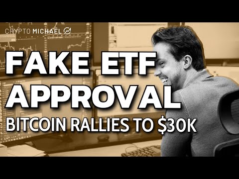 Bitcoin Rallies To $30K After A Fake ETF Approval, What's Next? | CryptoMichNL