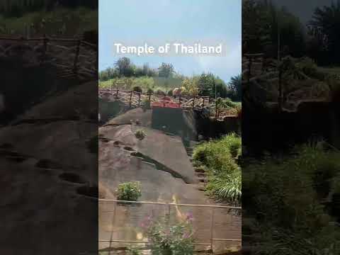 Temple of Thailand | MeiLee Vlogs