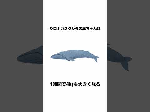 9割が知らない面白い雑学 続きは本編で #Shorts #雑学 #豆知識