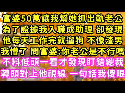 富婆50萬讓我幫她抓出軌老公，為了證據我入職成助理 卻發現，他每天工作完就遛狗 不像渣男，我懵了 問富婆:你老公是不行，不料低頭一看才發現盯錯總裁，轉頭對上他視線 一句話我傻眼#甜寵#灰姑娘#霸道總裁