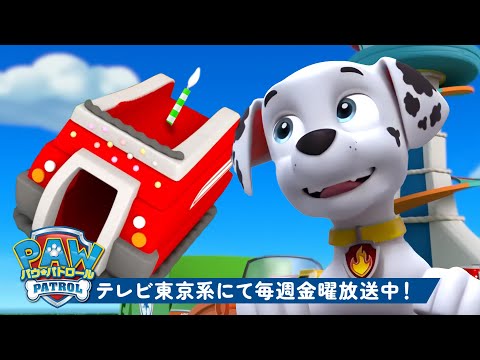 パウ・パトロール | パウ・パトロールのおいしいケーキと救助活動！🎂 マーシャルと一緒 | 10分間 | テレビ東京系にて放送中