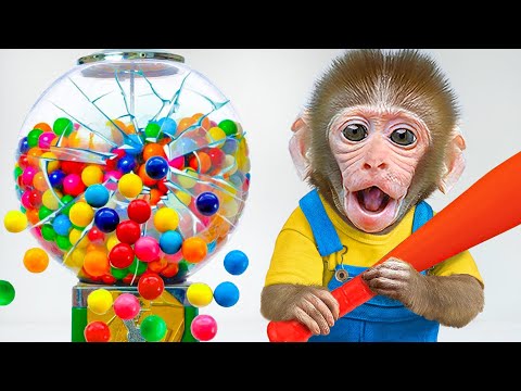 KiKi Monkey take Sweet Rainbow Jelly Candy by play DIY Gumball Machine challenge | KUDO ANIMAL KIKI