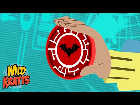 Activate Vampire Bat and Goliath Tarantual Powers | Happy Halloween | Wild Kratts