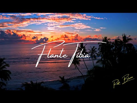 Flute Type Latin Dancehall Beat 'Flante Tibia' | Prod. By Rosh Blazze | Instrumental (2022)