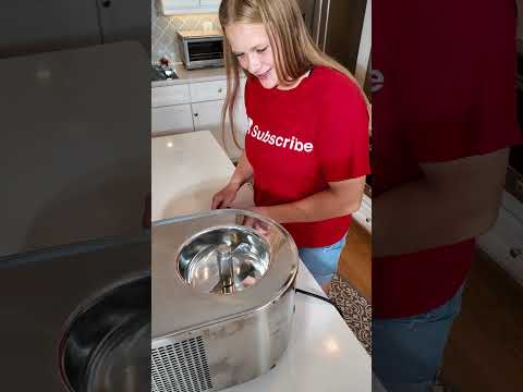 Assistant Makes Fresh Non Dairy Frozen Lemon Sorbet #familyfun #nondairy #DIYSorbet