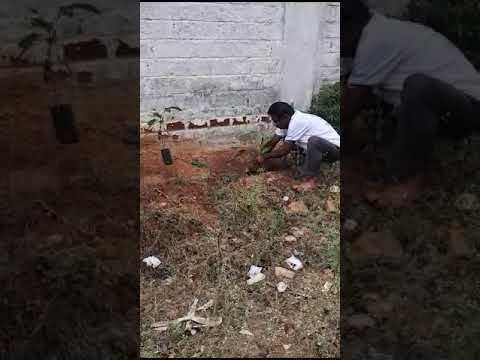 Growtree field work #viral #today  #marketing #tamil #todaytrending #trendingshorts