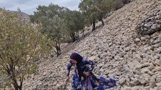 Picking mountain pistachios and mountain turpentine