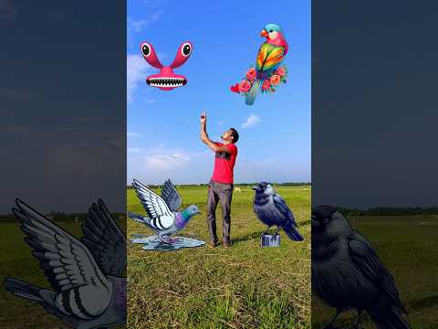 Cyan rainbow head to parrot pingen crow peacock 🦚 #shortsfeed_ #viralvideos #shortvideos #short #vfx