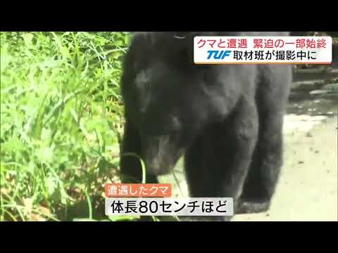 「あ、クマだ、え、クマだ」取材中にクマに遭遇　緊迫の一部始終　福島・会津美里町