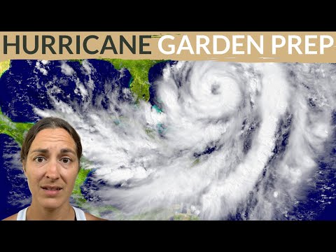 How To Prepare a Garden for Hurricane