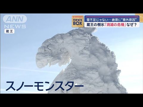 蔵王の樹氷「消滅の危機」　雪不足ではない“意外原因”【スーパーJチャンネル】(2024年11月14日)