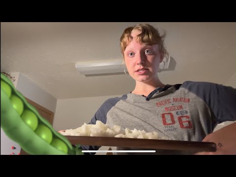 Vlog #2