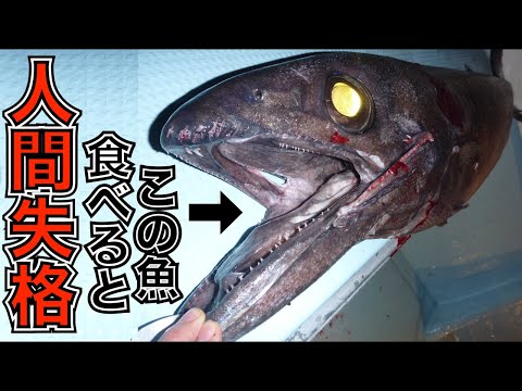 巨大魚を食ったらケツから油があふれ出た 〜そのメカニズムと対策〜