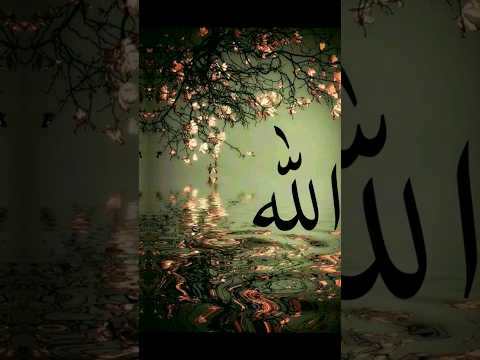 muhammad allah name islami short video viral dp plezzz subscribe kara #