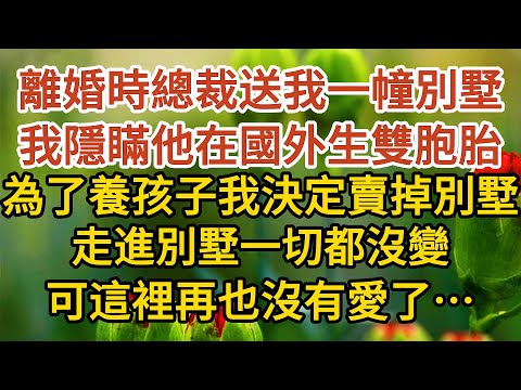 《隱藏孕肚離婚》第03集：離婚時總裁送我一幢別墅，我隱瞞他在國外生雙胞胎，為了養孩子我決定賣掉別墅，走進別墅一切都沒變，可這裡再也沒有愛了…… #戀愛#婚姻#情感 #愛情#甜寵#故事#小說#霸總