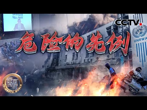 危险的先例 20241109 | CCTV中文《深度国际》