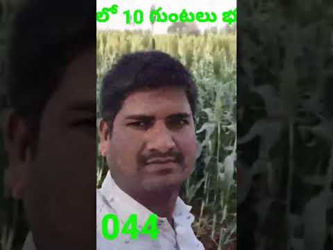 #NH65 #10 #gunta #landforsale #telangana #agriculture #farmhous #guesthouse #hyderabad #9640041044