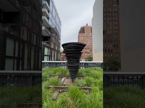 Is this Art?! 🤔😍 High Line,New York City #shorts #nycwalkingtour#highline #nyc #manhattan