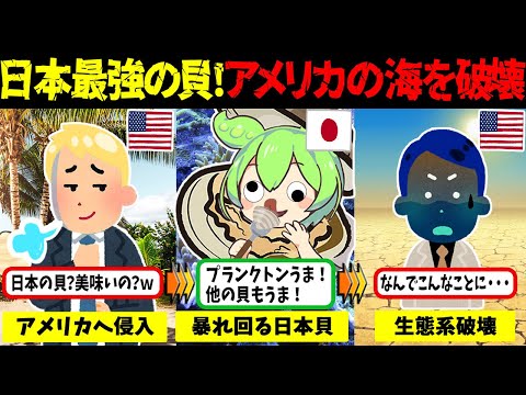 日本最強の貝！アメリカの海を破壊【ずんだもん＆ゆっくり解説】