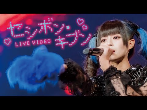 "セシボン・キブン"LIVE at CLUB CITTA' - December  1, 2023