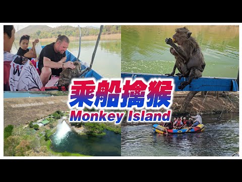 泰国华欣 | 乘船到猴子岛抓猴子 | 河边蝴蝶园 | Monkey Island | River Side Butterfly Park【VLOG 149】