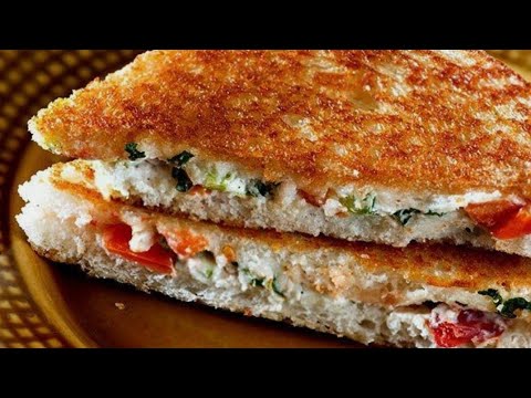 Easy & Quick Cheese Sandwich for breakfast || Evening snack recipe || #sandwich #cheese