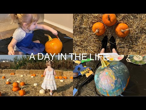 Fall Fun | Pumpkin Patch, Pumpkin Painting, etc